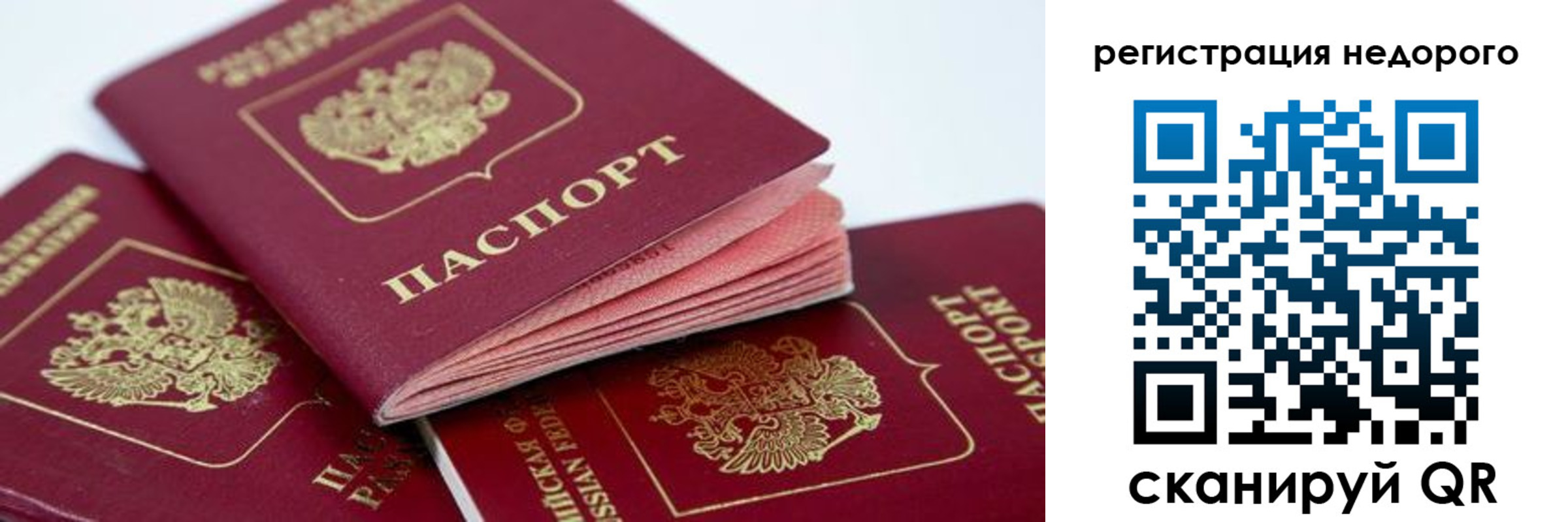 где прописаться в Петровске